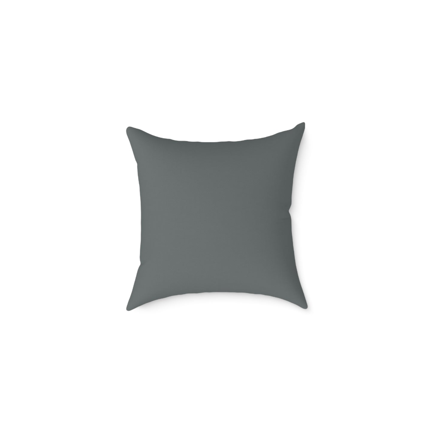 LC Torana Pillow